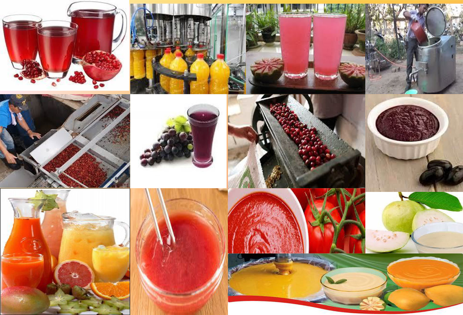 Marine Products